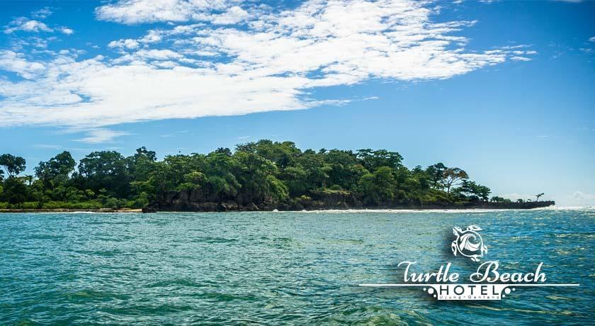 Turtle Beach Hotel Ujunggenteng Rum bild