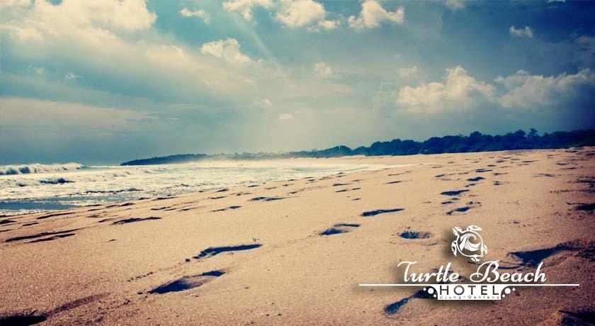 Turtle Beach Hotel Ujunggenteng Rum bild